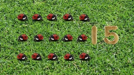 15-Ladybugs.png (2.65 MB) 15 ladybugs (First: Episode 4309)
