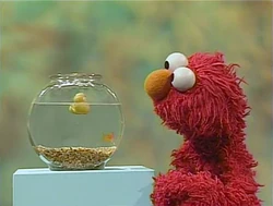 ElmoDorothy.RubberDuckie