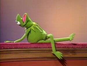 Froginrepose.jpg