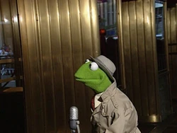 Reporter Kermit Elmopalooza