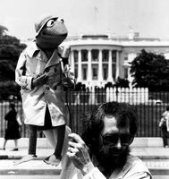 HereComeThePuppets!-ReporterKermit-And-JimHenson-(1980)