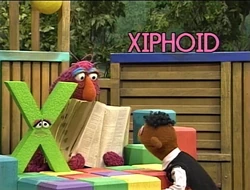 X feels useless Episode 3424