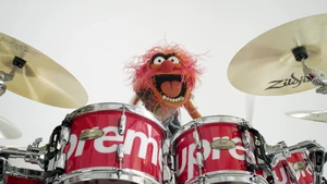 Animal Supreme drums 2019