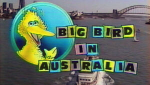 Big Bird in Australia