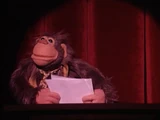 The Muppet Show Live