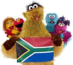 Takalani sesame flag.jpg