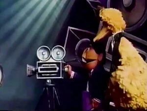 Big bird hollywood 01