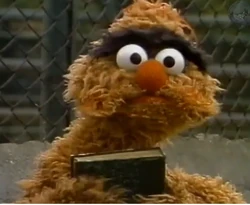 BodoquePlaza Sésamo