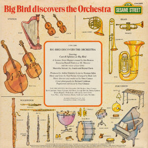 Big Bird Discovers the Orchestra back