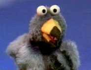 Character.homingpigeon.jpg (15 KB)