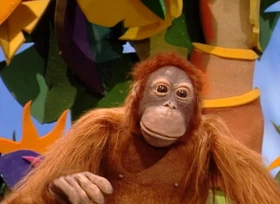 JackieTheOrangutan