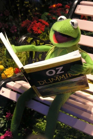 Kermit reads up on "Oz for Dummies" in a Macy's window display.