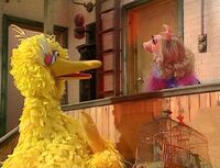 Caroll Spinney as Big Bird December 8, 2019 aged 85