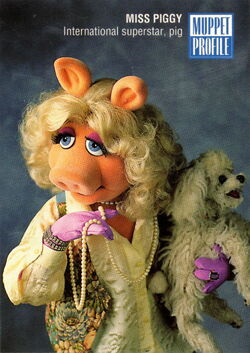 レア　未開封　Muppet Trading Cards 1993 Kermit The Frog Muppets trading card 1993 JH #3 Born in USA