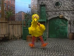 BigBird.Fast
