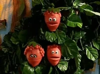 Weatherberries.jpg (22 KB) Weatherberries Sesame Tree