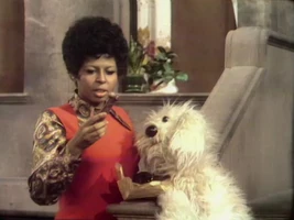 0084 07.jpg (113 KB) "Beautiful Present"