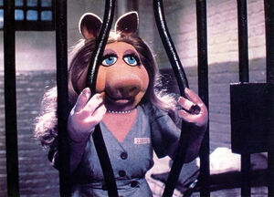 Piggyinprison.jpg