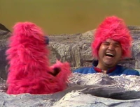 Dom DeLuise May 4, 2009 aged 75