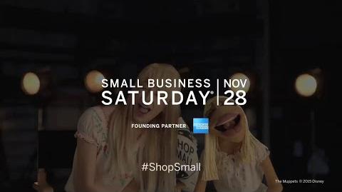 AMEX Small Business Saturday 2015