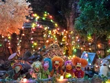 Episode 114: Night of the Lights