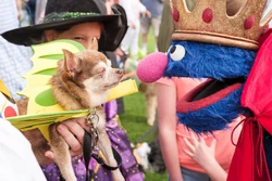 HandmadeHalloween-Grover