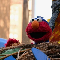 SSMacys-ElmoCloseup.jpg (161 KB)