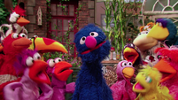 Show Topic: Birds (Grover and AM birds)