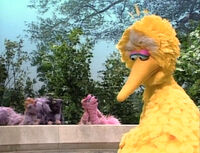 "Big Bird Doesn't Fly" (First: Episode 3249) (spoof of "Big Girls Don't Cry")