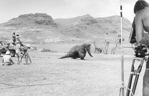 Filming Snuffy in Hawaii