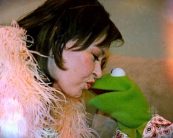 Roseanne Barr & KermitThe Roseanne Show