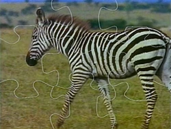 Zebrapuzzle