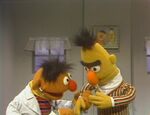 Ernie and Bert: Bert's Physical