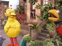 Episode 4037 Bert and Ernie in "Helping People"