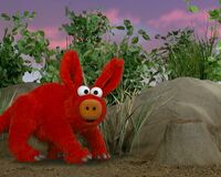 Aardvark Elmo's World: Wild Animals