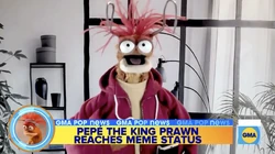 GMA-PepeMeme