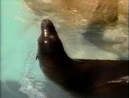 WaterBaby.jpg (255 KB) "Water Baby"