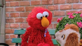 ElmoSesame Street Episode 5506