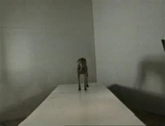 (First: Episode 3401)