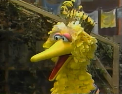 I'm Glad I'm Me - Big Bird