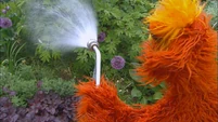 Murray Tune-In: Gardening School Part 3 (leads Elmo) (uses season 39 footage)
