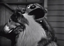 Oh! You Beautiful Doll