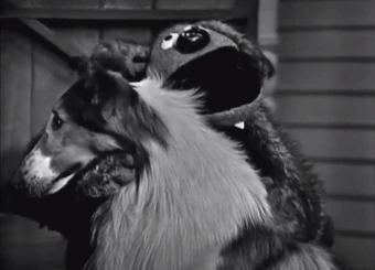 Oh You Beautiful Doll Muppet Wiki Fandom Create an account with songmeanings to post comments, submit lyrics, and more. oh you beautiful doll muppet wiki