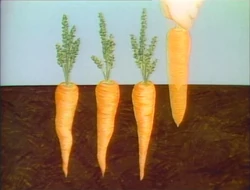 CarrotSubtraction