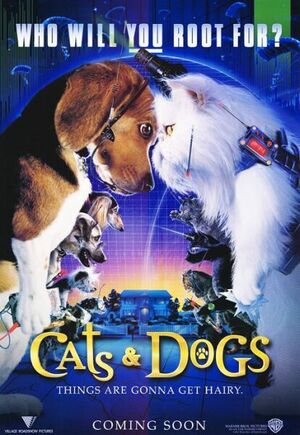 Catsanddogs