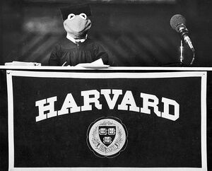 Harvard University Kermit 1982