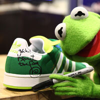 adidas kermit the frog jacket