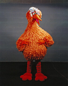 Poupas 2