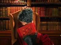 "Reading is Fun" web video (November 2, 2023)