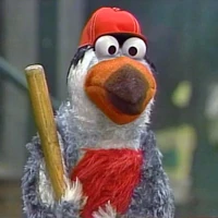 Red-Breasted Baseball Bird